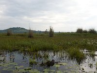 Marais de Mabamba