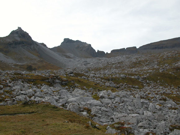 DSCN0047