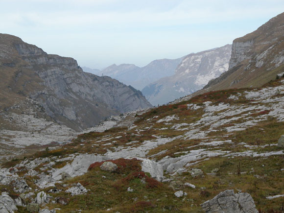 DSCN0049