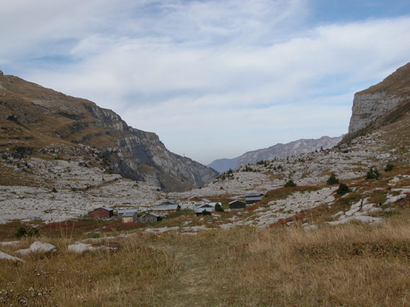 DSCN0055