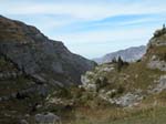 DSCN0061